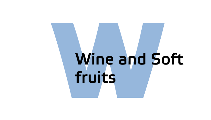 Wine and Soft Fruits